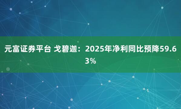 元富证券平台 戈碧迦：2025年净利同比预降59.63%