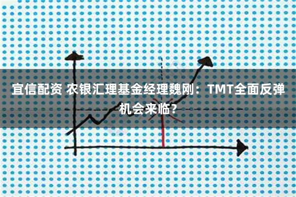 宜信配资 农银汇理基金经理魏刚：TMT全面反弹机会来临？