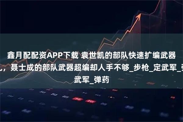 鑫月配配资APP下载 袁世凯的部队快速扩编武器杂乱，聂士成的部队武器超编却人手不够_步枪_定武军_弹药