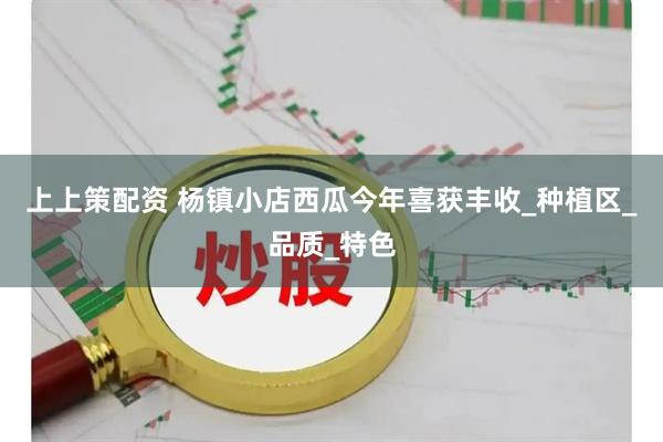 上上策配资 杨镇小店西瓜今年喜获丰收_种植区_品质_特色